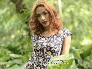 PhilH0TMODEL