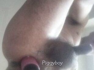 Piggyboy