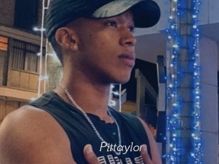 pittaylor Le Scandale