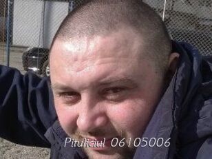 Pituliciul-06105006