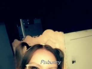 Pixbunny