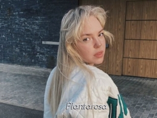 Plantarosa