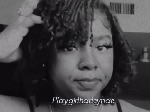 Playgirlharleynae