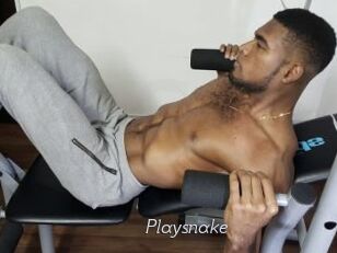 Playsnake