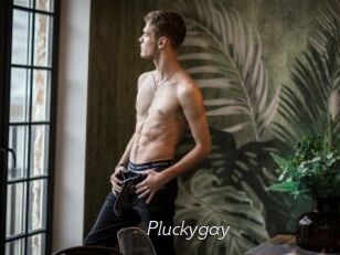 pluckygay Le Scandale