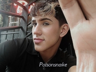 Poisonsnake