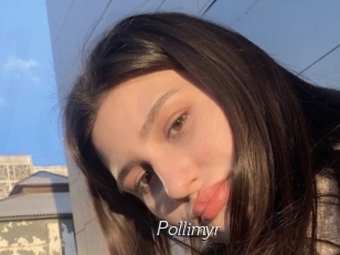 Pollimyr
