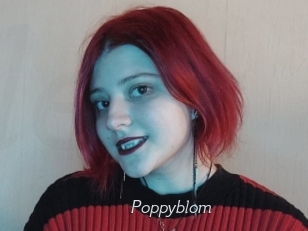 Poppyblom