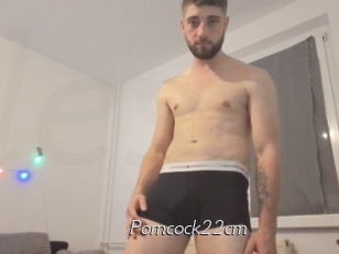 Porncock22cm