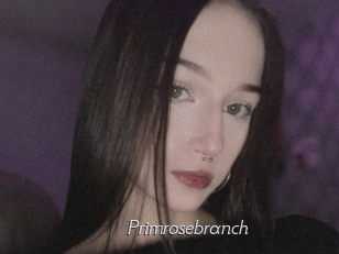 Primrosebranch