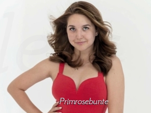 Primrosebunte