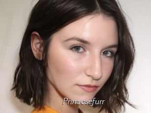 Primrosefurr