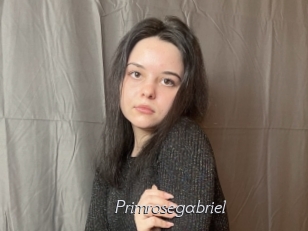 Primrosegabriel