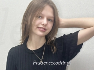 Prudencecodringt