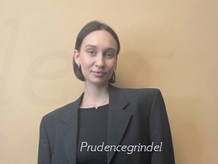 Prudencegrindel
