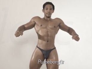 Pumebonyfit