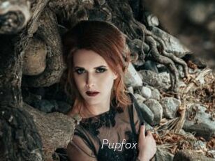 pupfox Le Scandale