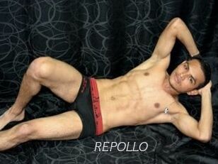 REPOLLO