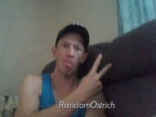 RandomOstrich