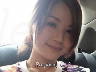 Raspberry_019