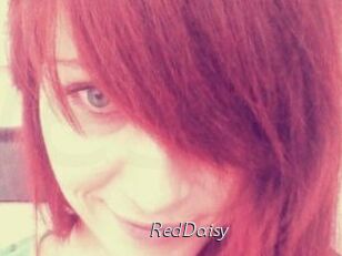 RedDaisy