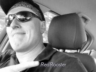 RedRooster