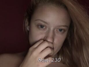 Rose1230