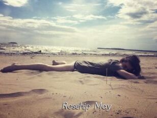 Rosehip_May