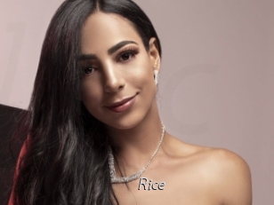 Rice