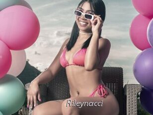 Rileynacci