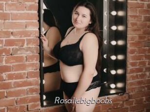 Rosaliebigboobs