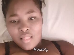Rosisbig