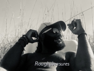 Roughpleasures