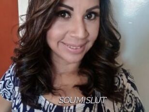 SOUMISLUT