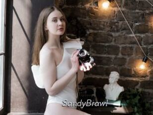 SandyBrawl