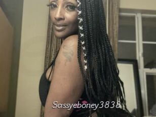 Sassyeboney3838