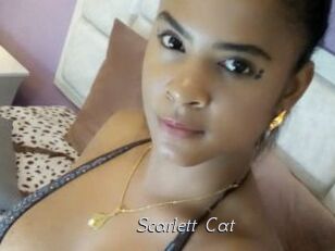 Scarlett_Cat