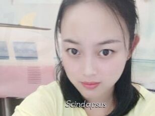 Scindapsus