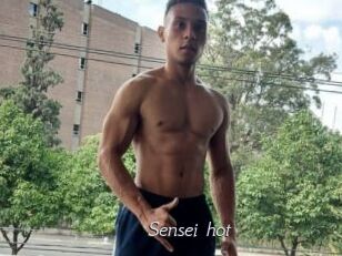 Sensei_hot