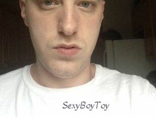 SexyBoyToy