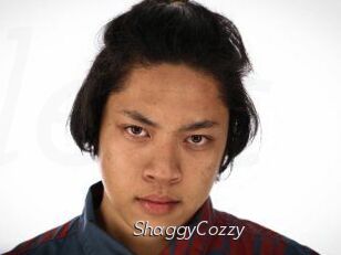 ShaggyCozzy