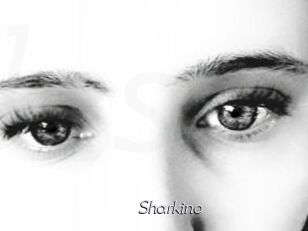 Sharkino