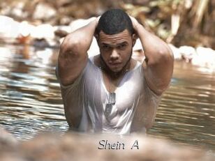 Shein_A
