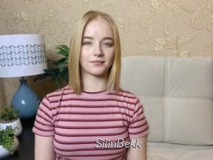 SilinBekk
