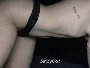 SindyCat