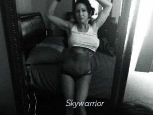 Skywarrior