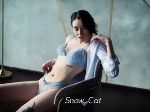 Snow_Cat