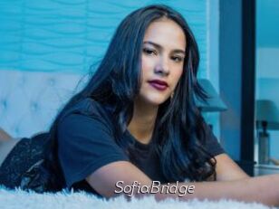 SofiaBridge