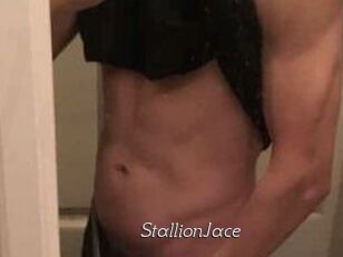 StallionJace