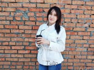 Tulip